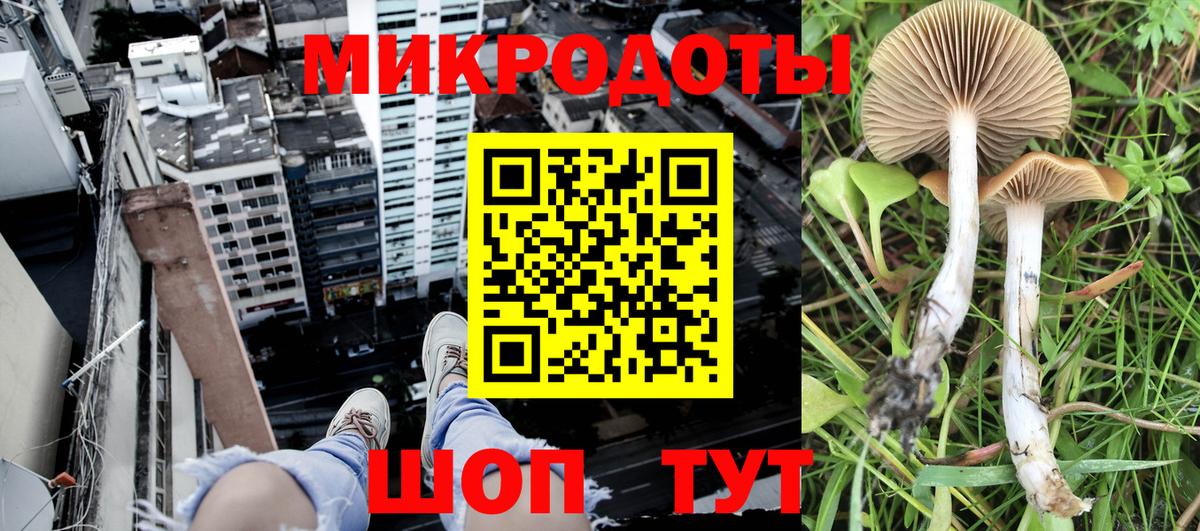 Галлюциногенные грибы прущие грибы Лесозаводск