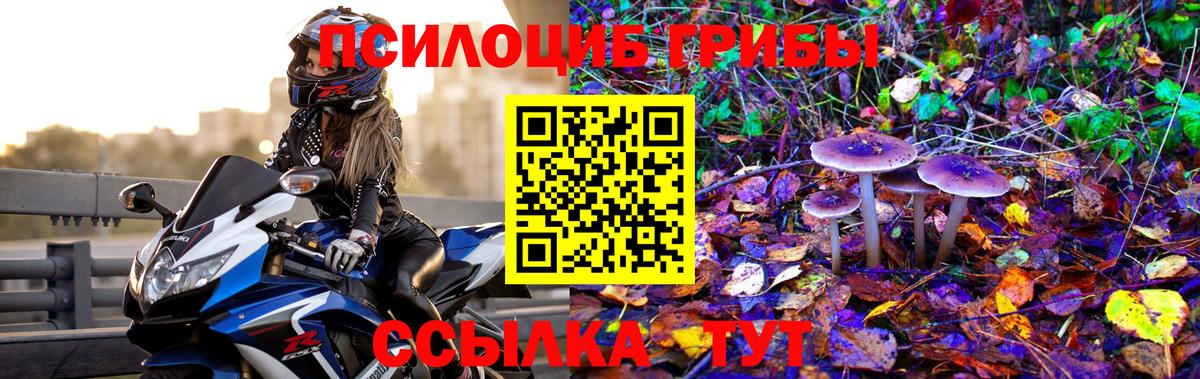 Лесозаводск  Псилоцибиновые грибы GOLDEN TEACHER  Галлюциногенные грибы Psilocybine cubensis  Вход с VPN 