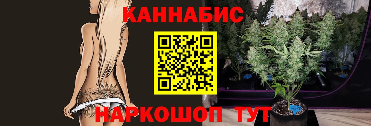 Бошки марихуана семена  Каннабис гибрид  Лесозаводск  Вход с VPN  Каннабис планчик 